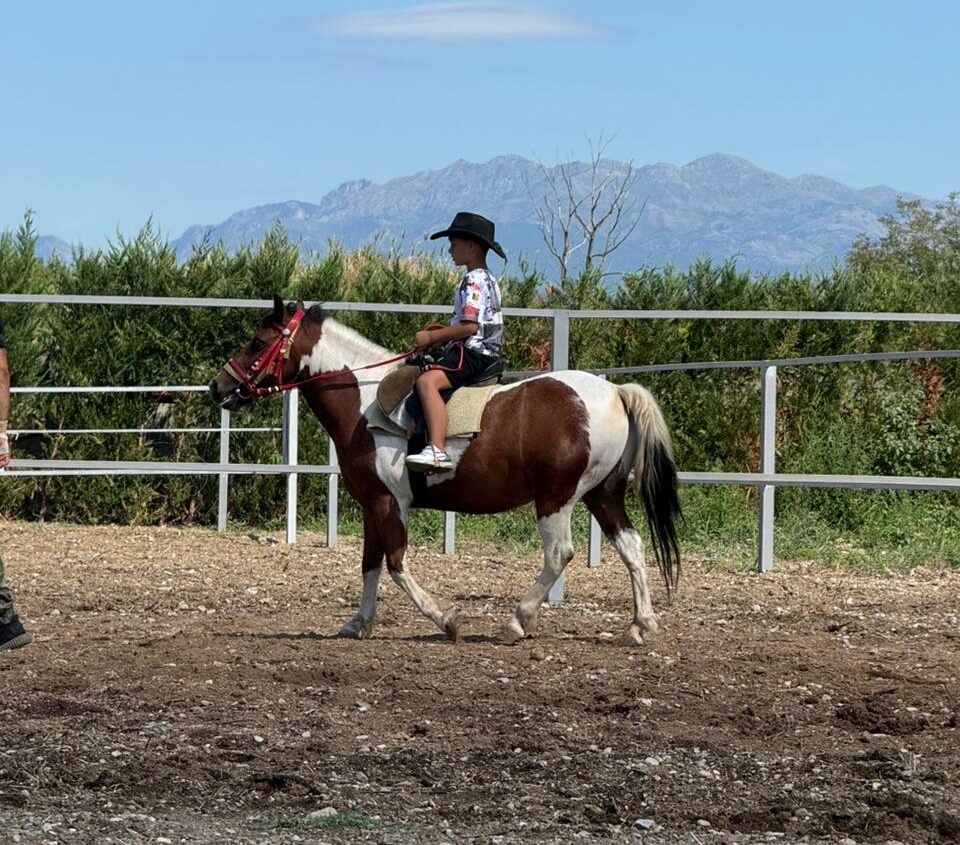 A guest enjoying a guided horse riding tour through the beautiful landscape near our camping in Shkoder.